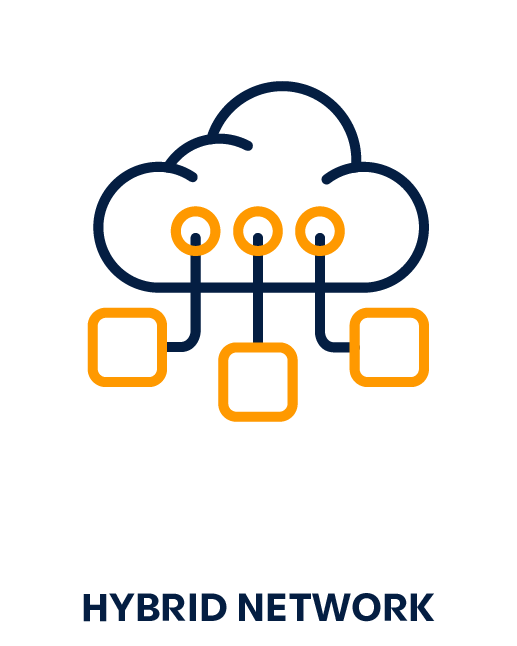 Managed Hybrid Network